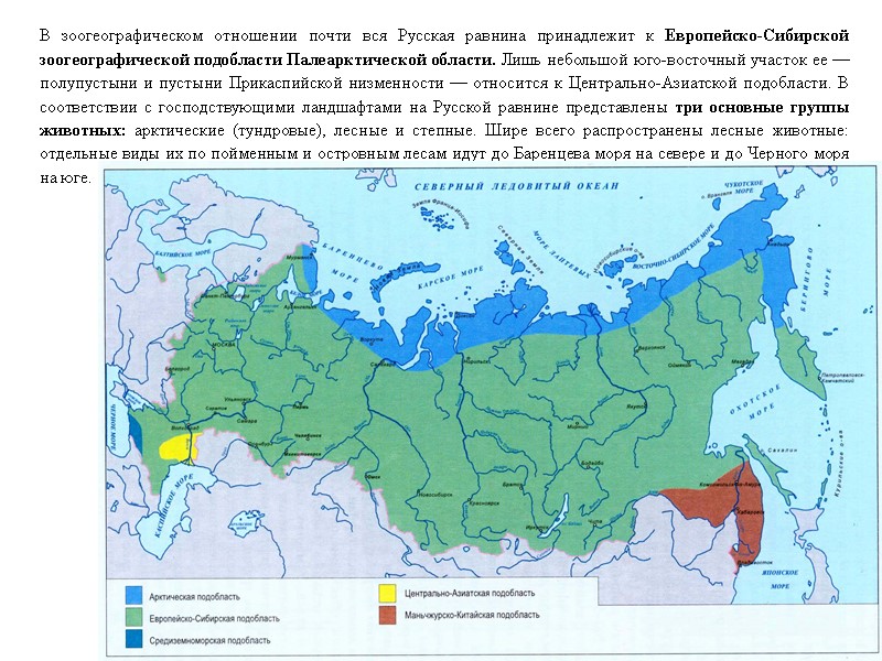 В зоогеографическом отношении почти вся Русская равнина принадлежит к Европейско-Сибирской зоогеографической подобласти Палеарктической области.
